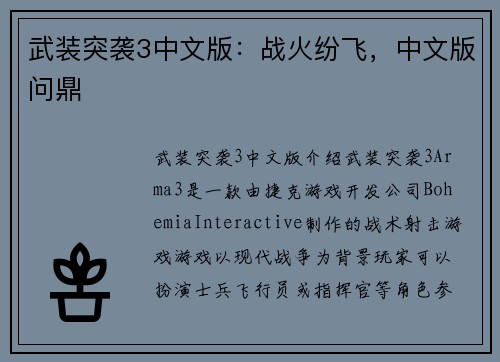武装突袭3中文版：战火纷飞，中文版问鼎